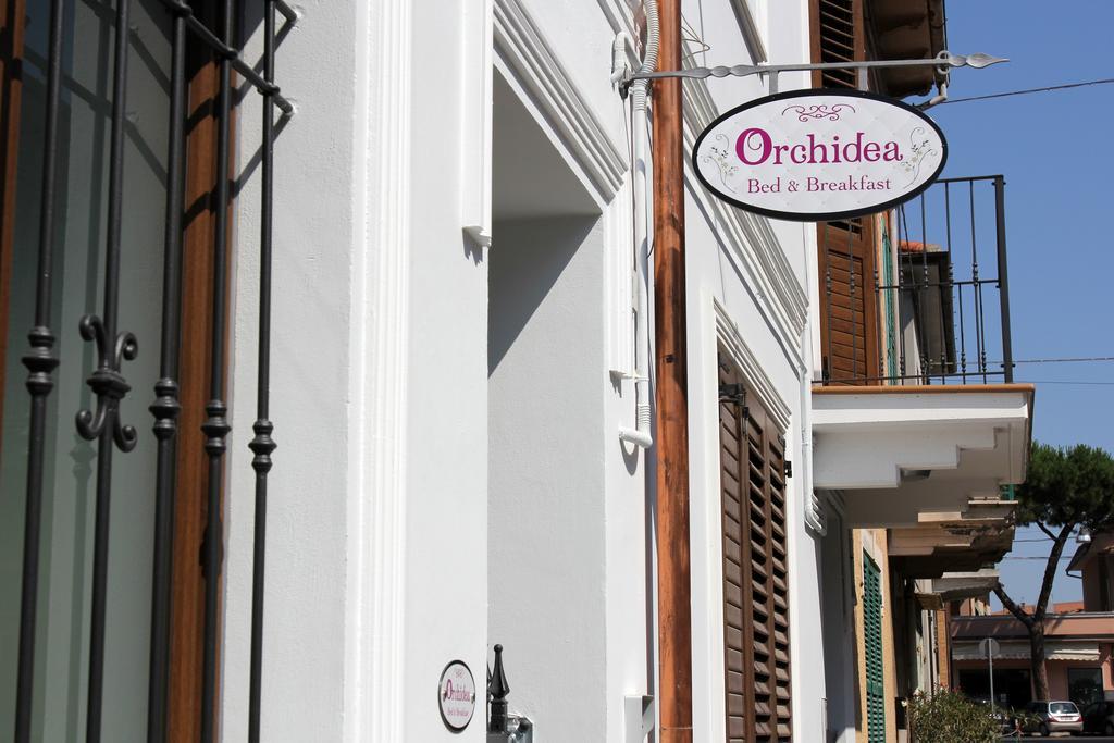 Orchidea Rooms & Suites Civitanova Marche Εξωτερικό φωτογραφία